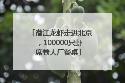 潜江龙虾走进北京，100000只虾席卷大厂餐桌