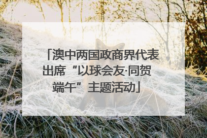 澳中两国政商界代表出席“以球会友·同贺端午”主题活动