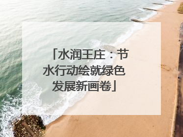 水润王庄：节水行动绘就绿色发展新画卷