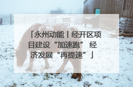 永州动能丨经开区项目建设“加速跑” 经济发展“再提速”