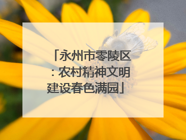 永州市零陵区：农村精神文明建设春色满园