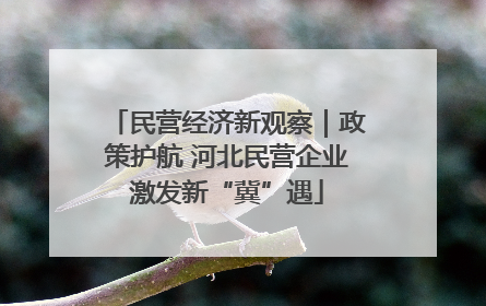 民营经济新观察｜政策护航 河北民营企业激发新“冀”遇