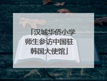 汉城华侨小学师生参访中国驻韩国大使馆