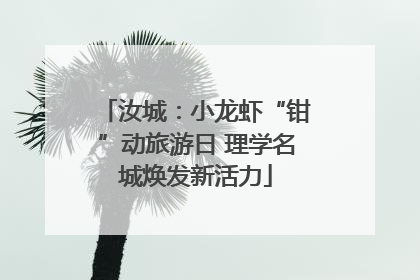 汝城：小龙虾“钳”动旅游日 理学名城焕发新活力