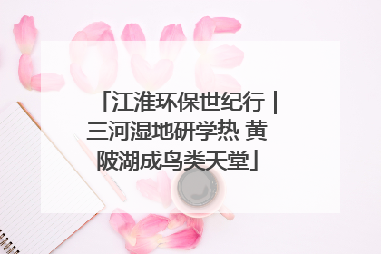 江淮环保世纪行｜三河湿地研学热 黄陂湖成鸟类天堂