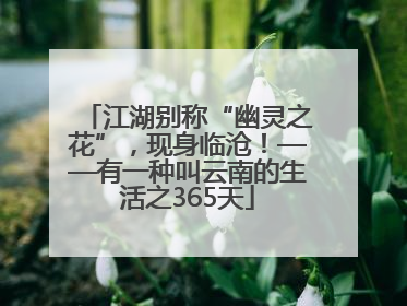 江湖别称“幽灵之花”，现身临沧！——有一种叫云南的生活之365天