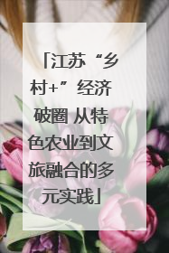 江苏“乡村+”经济破圈 从特色农业到文旅融合的多元实践