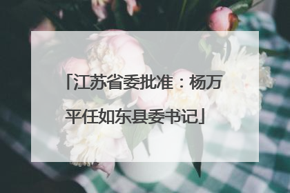 江苏省委批准：杨万平任如东县委书记