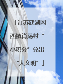 江苏建湖冈西镇肖荡村“小积分”兑出“大文明”