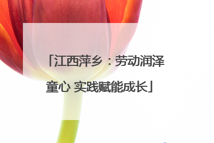 江西萍乡：劳动润泽童心 实践赋能成长