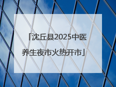 沈丘县2025中医养生夜市火热开市