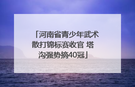 河南省青少年武术散打锦标赛收官 塔沟强势摘40冠