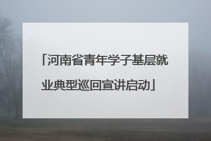 河南省青年学子基层就业典型巡回宣讲启动