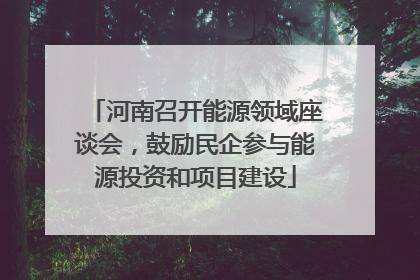 河南召开能源领域座谈会，鼓励民企参与能源投资和项目建设