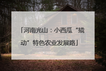 河南光山：小西瓜“撬动”特色农业发展路