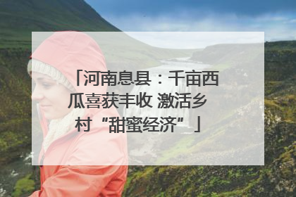 河南息县：千亩西瓜喜获丰收 激活乡村“甜蜜经济”