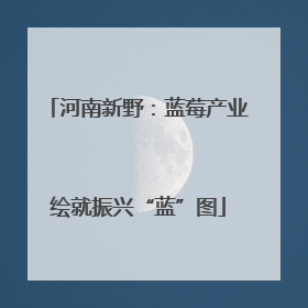 河南新野：蓝莓产业绘就振兴“蓝”图