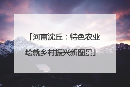 河南沈丘：特色农业绘就乡村振兴新图景