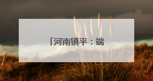 河南镇平：端午非遗盛宴激活乡村文明新风