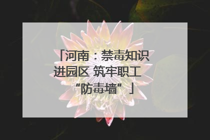 河南：禁毒知识进园区 筑牢职工“防毒墙”