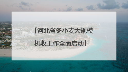 河北省冬小麦大规模机收工作全面启动