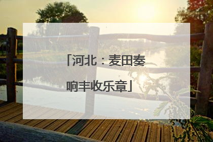 河北：麦田奏响丰收乐章