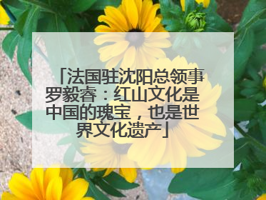 法国驻沈阳总领事罗毅睿：红山文化是中国的瑰宝，也是世界文化遗产