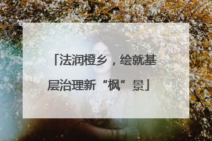 法润橙乡，绘就基层治理新“枫”景