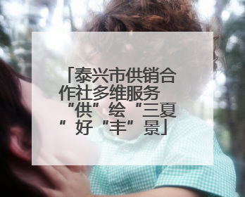 泰兴市供销合作社多维服务 “供”绘“三夏”好“丰”景