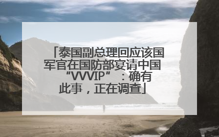 泰国副总理回应该国军官在国防部宴请中国“VVVIP”：确有此事，正在调查