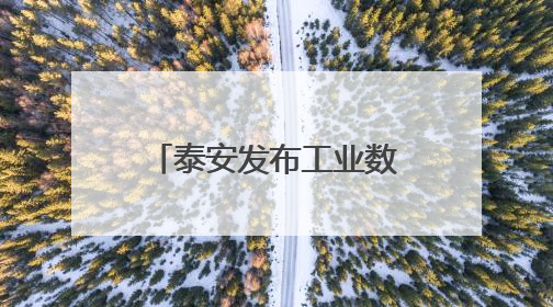 泰安发布工业数智化转型蓝图，“十百千万”梯队+灯塔工厂打造产业新标杆