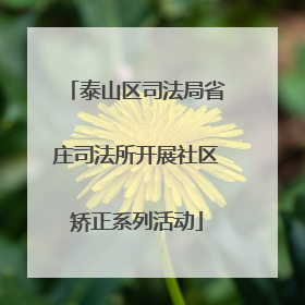 泰山区司法局省庄司法所开展社区矫正系列活动