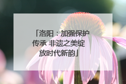 洛阳：加强保护传承 非遗之美绽放时代新韵