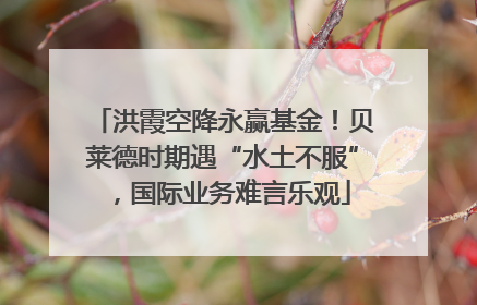 洪霞空降永赢基金！贝莱德时期遇“水土不服”，国际业务难言乐观