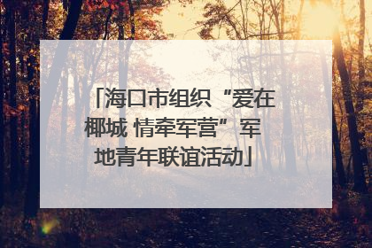 海口市组织“爱在椰城 情牵军营”军地青年联谊活动