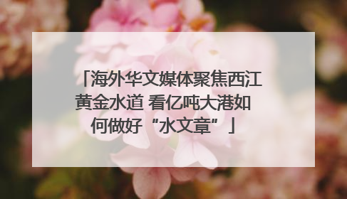海外华文媒体聚焦西江黄金水道 看亿吨大港如何做好“水文章”