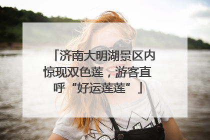 济南大明湖景区内惊现双色莲，游客直呼“好运莲莲”
