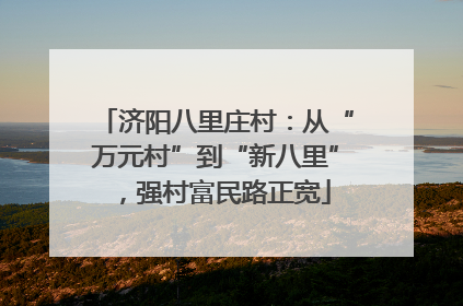 济阳八里庄村：从“万元村”到“新八里”，强村富民路正宽