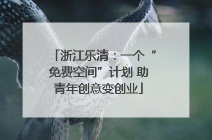 浙江乐清：一个“免费空间”计划 助青年创意变创业