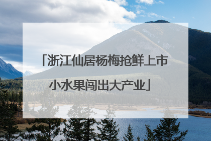 浙江仙居杨梅抢鲜上市 小水果闯出大产业