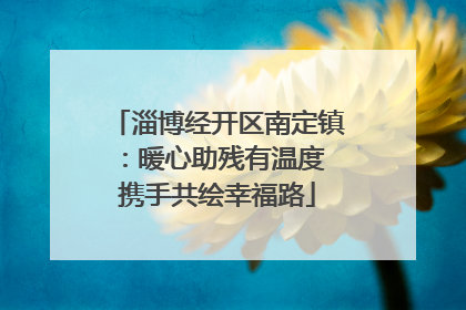 淄博经开区南定镇：暖心助残有温度 携手共绘幸福路