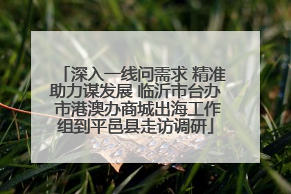 深入一线问需求 精准助力谋发展 临沂市台办 市港澳办商城出海工作组到平邑县走访调研
