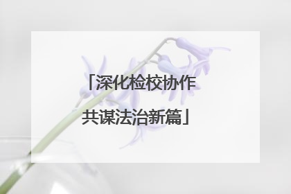 深化检校协作 共谋法治新篇