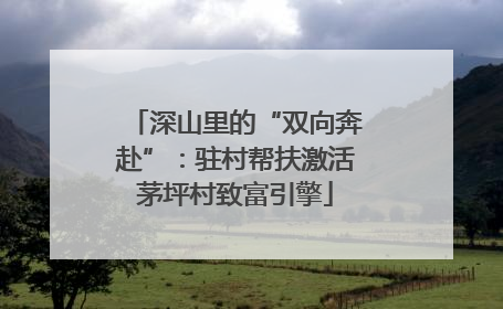 深山里的“双向奔赴”：驻村帮扶激活茅坪村致富引擎