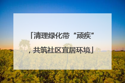清理绿化带“顽疾”，共筑社区宜居环境