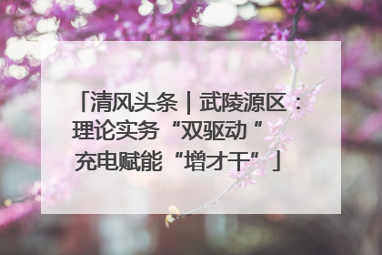 清风头条｜武陵源区：理论实务“双驱动 ” 充电赋能“增才干”