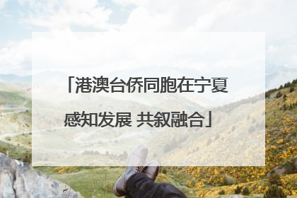 港澳台侨同胞在宁夏感知发展 共叙融合