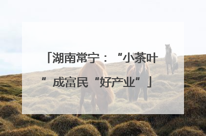湖南常宁：“小茶叶”成富民“好产业”