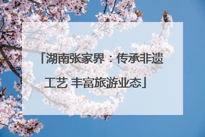 湖南张家界：传承非遗工艺 丰富旅游业态