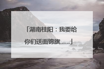 湖南桂阳：我要给你们送面锦旗……